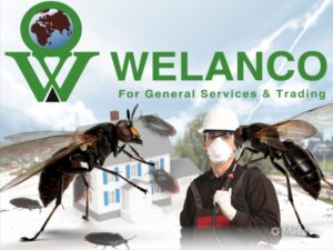 same graphic design style pest control theme for w